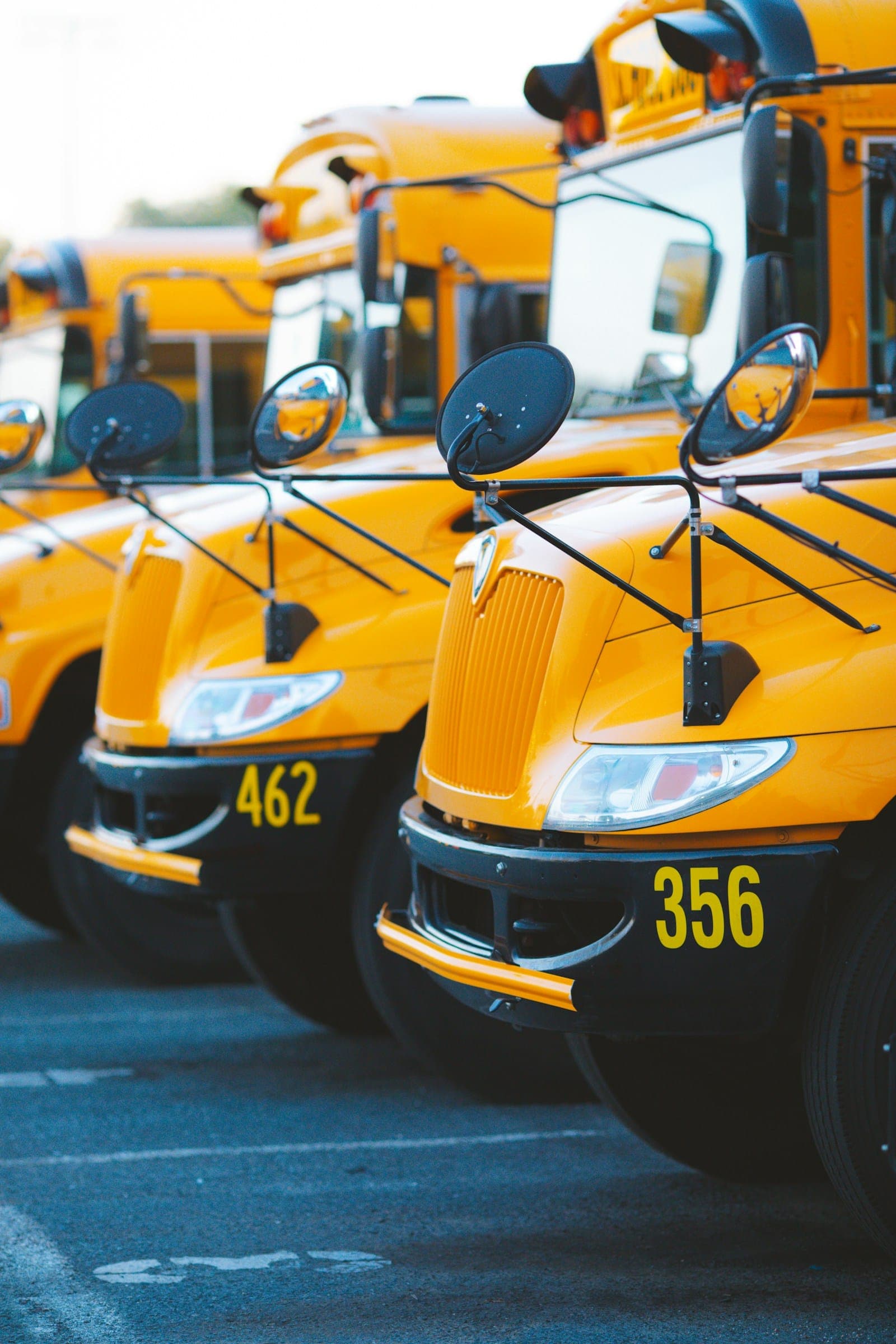 Row of yellow school buses